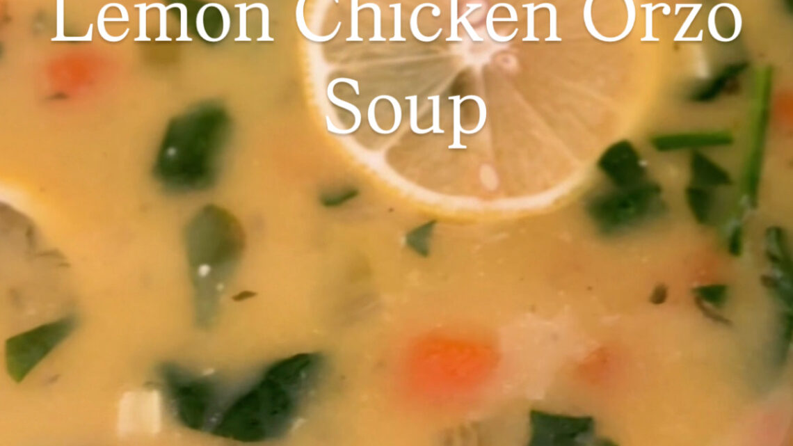 chicken orzo soup