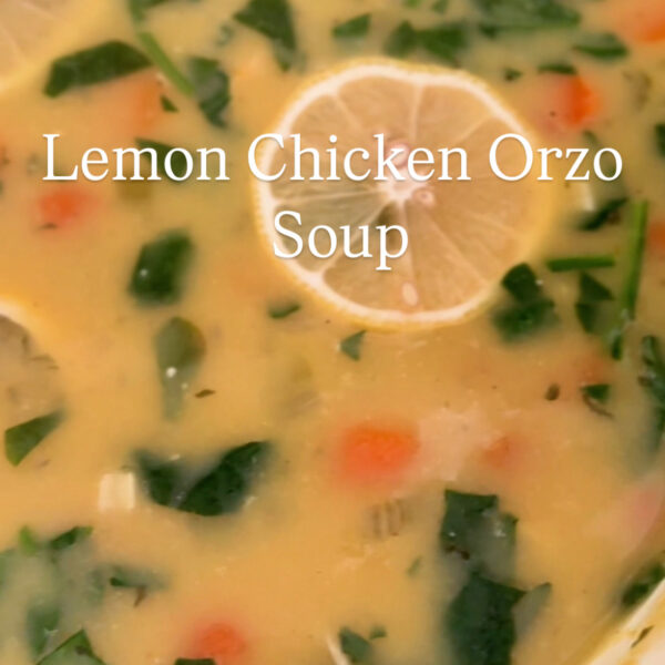 chicken orzo soup