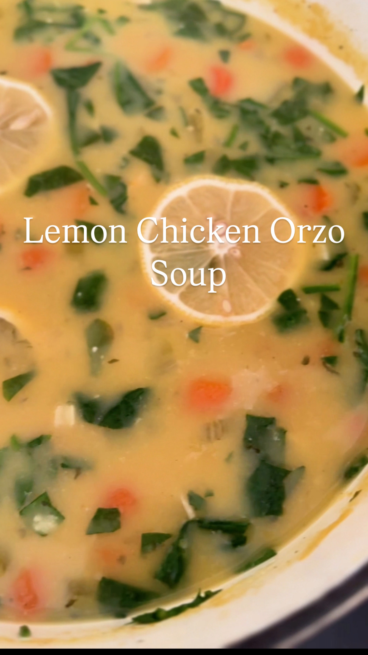 chicken orzo soup